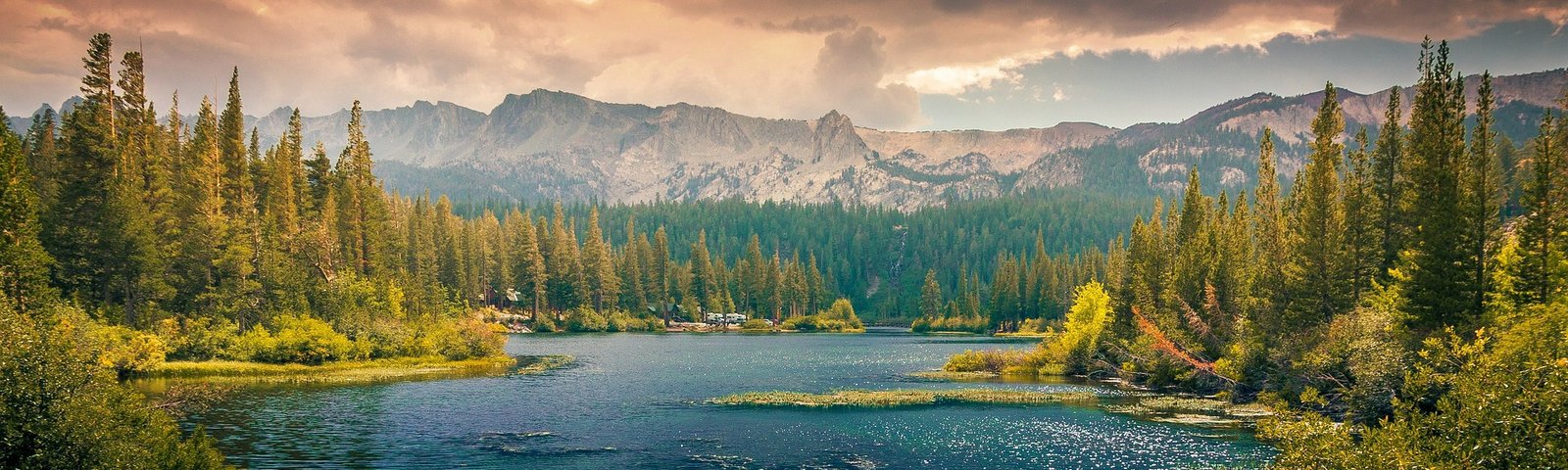 L Madeline Fullarton